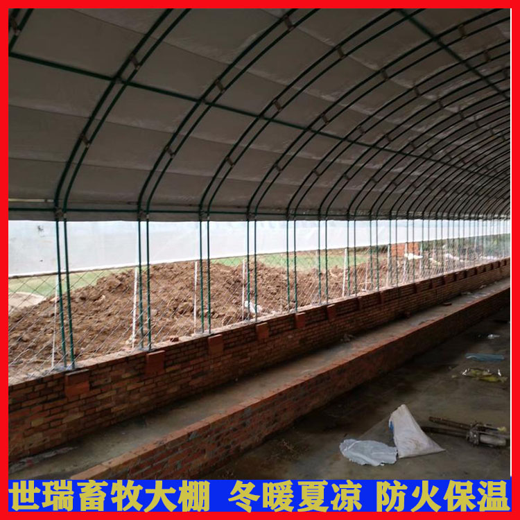 宁津县世瑞畜牧设备搭建山羊养殖大棚厂家