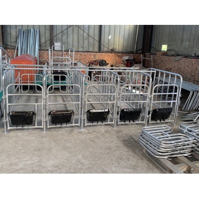 泊头养猪设备厂家生产复合定位栏