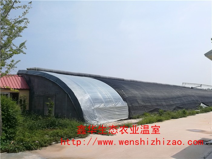 上海日光温室大棚建设 冬暖式日光温室大棚 专业设计加工定制