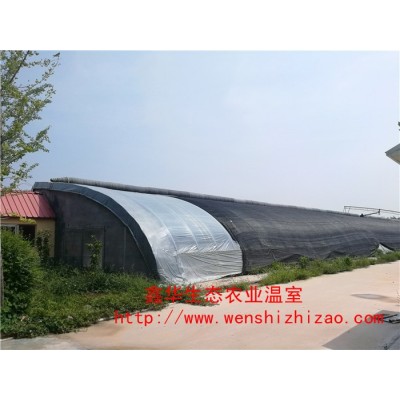 上海日光温室大棚建设 冬暖式日光温室大棚 专业设计加工定制