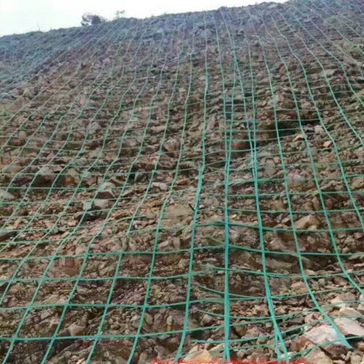 重庆爬山虎安全植物挂网2根钢丝植物攀爬网工厂