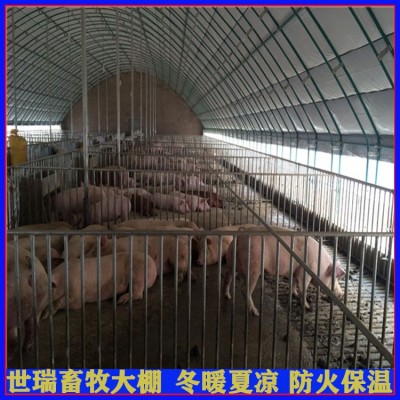 大型养猪大棚建设 新型养猪棚搭建厂家 养猪棚设备安装
