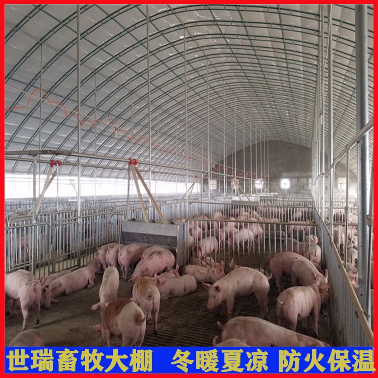 搭建养猪棚价格 养猪场规划施工 猪棚建设厂家