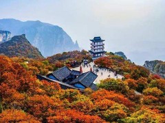 河南景区对全国游客免票一个月 河南文化旅游厅发布通告