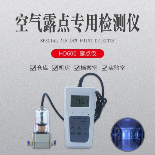 压缩空气露点温湿度测量仪HD600 露点水分仪