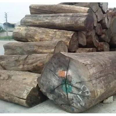 古夷苏木进口清关代理蛇口木材进口报关公司木材进口