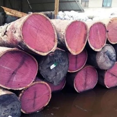 南美紫芯苏木进口清关代理蛇口木材进口报关公司