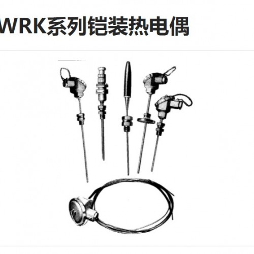 一体型热电偶   WP-RK21-A       上润