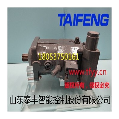 厂家直销泰丰TFB系列斜盘式柱塞变量泵