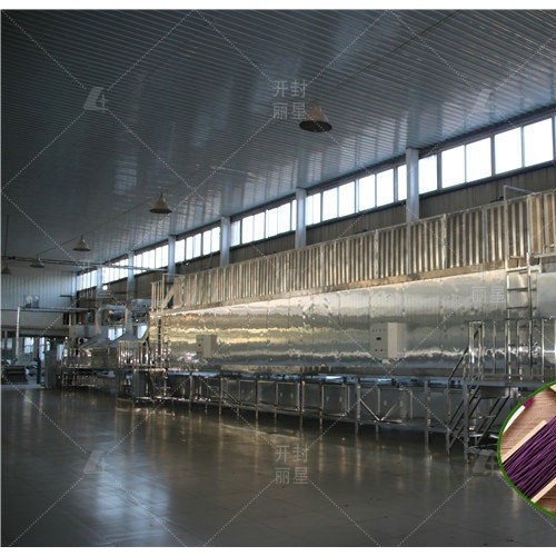 红薯粉条加工设备流水线运行 丽星粉丝机械适合办厂使用