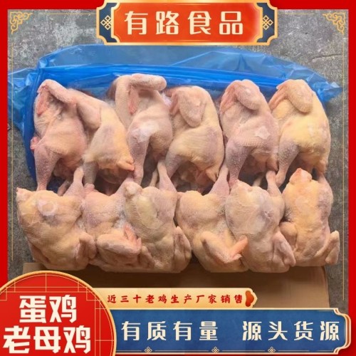 冷冻食品蛋鸡白条价格_冻货老母鸡批发_山东冻鸡生产厂家直销